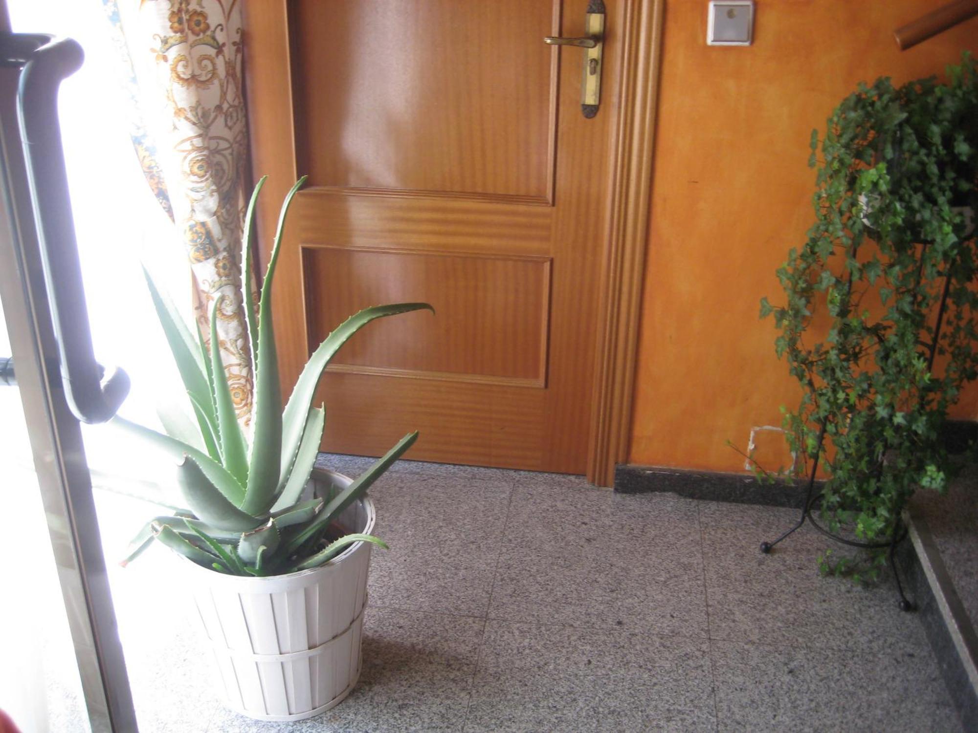 Hostal El Pinar Ávila Dış mekan fotoğraf